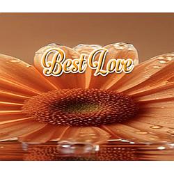 RadioBestLove2019 radio logo