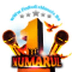 Radio X Net Manele logo