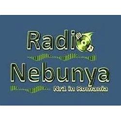 Radio Nebunya logo