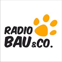 Virgin Radio Radio Bau logo