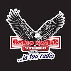 Radio Notte Stereo web logo