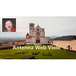 Antenna Web Viole radio logo