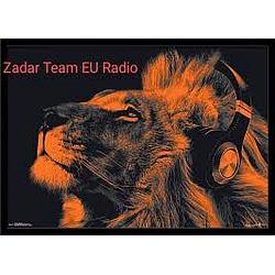 Zadar Team EU Radio logo