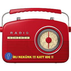 Vajdasagretro radio logo