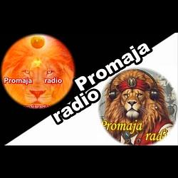 Promaja radio logo