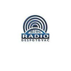 Radio Puls logo