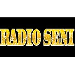 Radio Seni logo