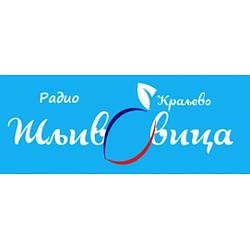 Radio Šljivovica logo
