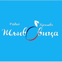 Radio Šljivovica logo