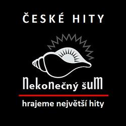Nekonečný Šum - CZ radio logo