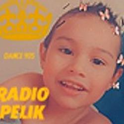 Radio Pelik logo