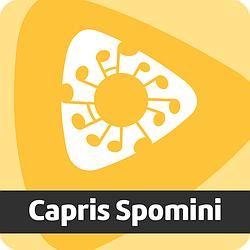Radio Capris Spomini logo