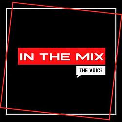 The Voice In The Mix radio logo