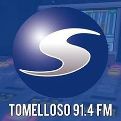 Radio Surco logo
