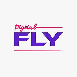 AIRMAXFM - Digital Fly radio logo