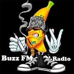 Buzz FM logo