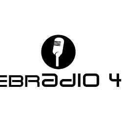 Webradio 4313 radio logo