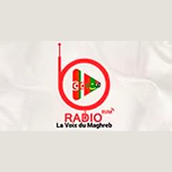 Radio La Voix du Maghreb logo