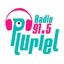 Radio Pluriel FM logo