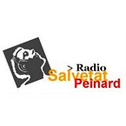 Radio Salvetat Peinard logo