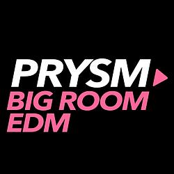 Prysm EDM - Big Room radio logo