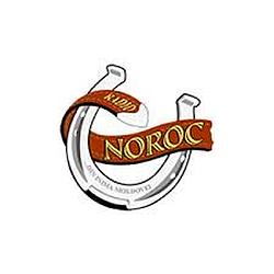 Radio Noroc logo