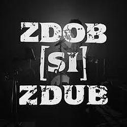 Zdob si Zdub Радио logo