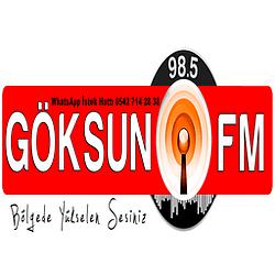 GÖKSUN Fm logo