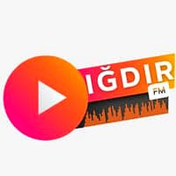 Igdir FM logo