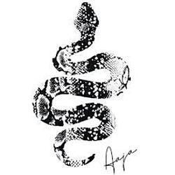 Aaja Music radio logo