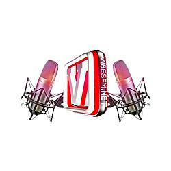 Vibes FM logo