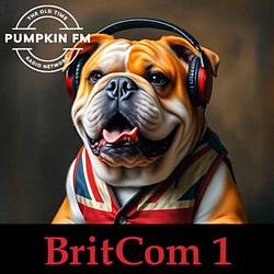 BritCom One radio logo