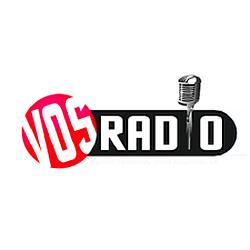 Voice of Sindh radio logo