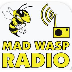 Mad Wasp Radio logo