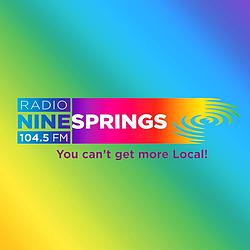 Radio Ninesprings logo