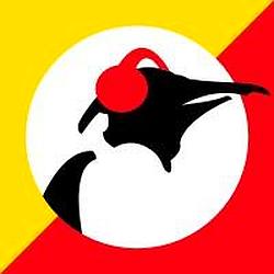 Pinguin Classics radio logo