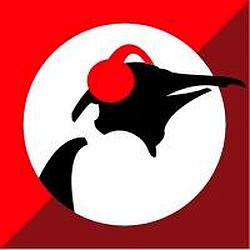 Pinguin Pluche radio logo