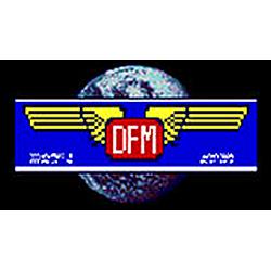 DFM RTV INT radio logo