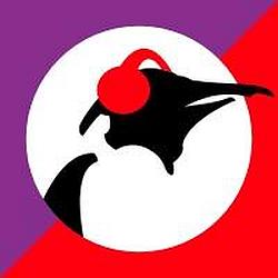Pinguin World radio logo