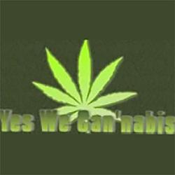 Yes We Cannabis radio logo