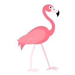 Flamingo Radio logo