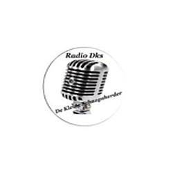 Radio Dks logo