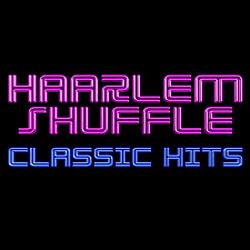 Haarlem Shuffle radio logo
