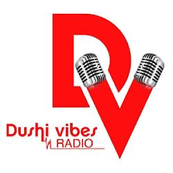 Dushi Vibes Radio logo