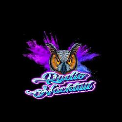 Radionachtuil radio logo