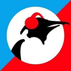 Pinguin Blues radio logo