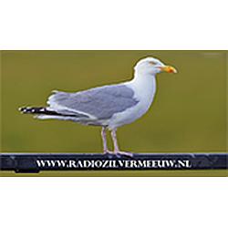 Radio Zilvermeeuw logo
