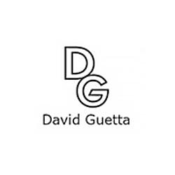 David Guetta Record radio logo
