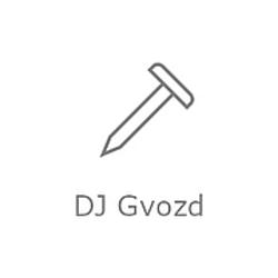 DJ Gvozd Record radio logo