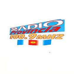 Radio Provincia 100.9 FM logo